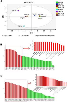 Characteristic flavor metabolic network of fish sauce microbiota with different fermentation processes based on metagenomics
